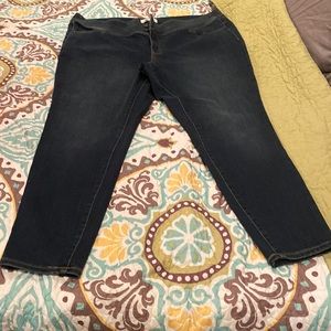 Lane Bryant Flex Magic waistband high rise Jegging